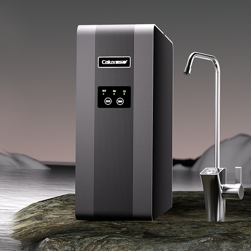 家樂事I2013凈水器